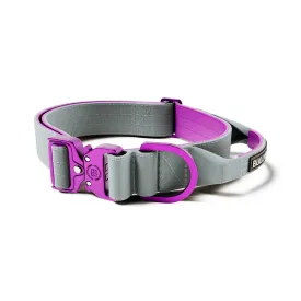 1.5" (4cm) Light Combat Collar with handle - Purple & Gray