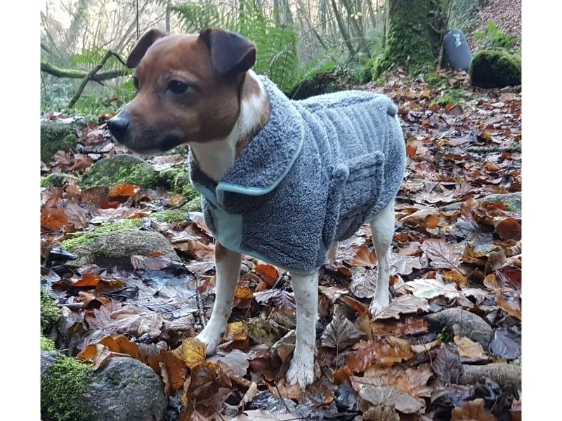 Henry Wag Drying Coat XS 35cm Grey