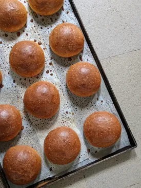 Hokkaido Milk Buns
