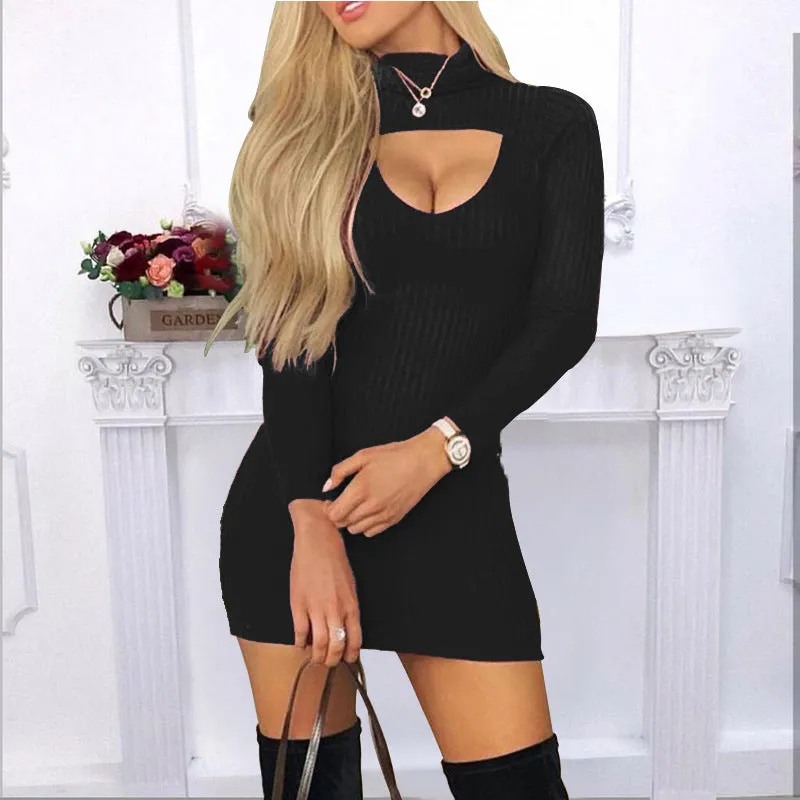 Solid Colour Turtle Neck Long Sleeves Dress