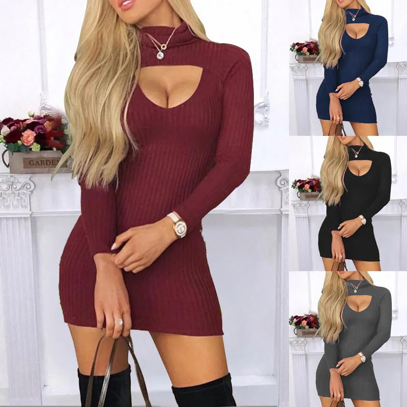 Solid Colour Turtle Neck Long Sleeves Dress