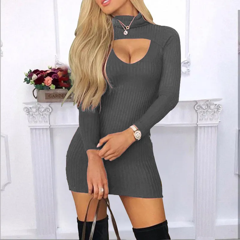 Solid Colour Turtle Neck Long Sleeves Dress